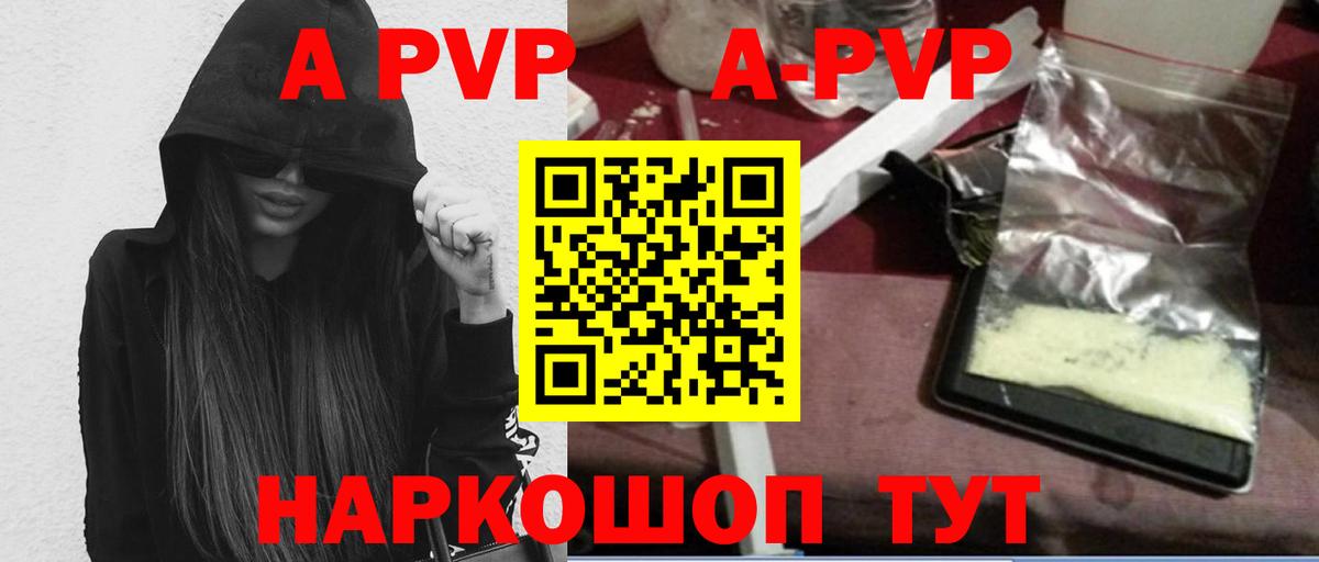 Альфа ПВП СК Новозыбков