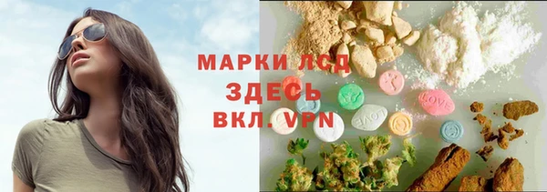 гидра Алзамай