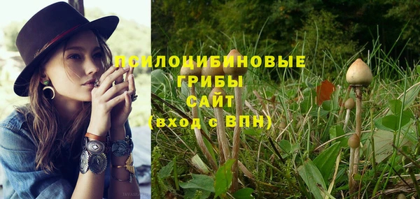 гидра Алзамай