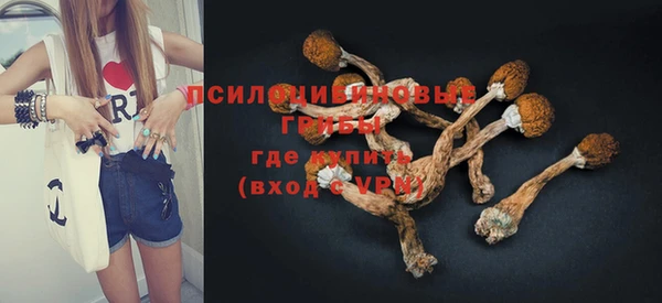 дурь Алексеевка