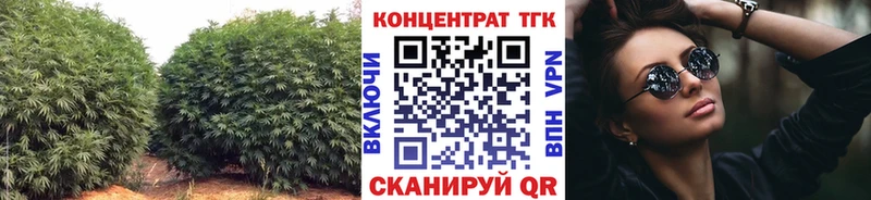 где можно купить наркотик  Новозыбков  дарк нет какой сайт  Дистиллят ТГК концентрат  MEGA ССЫЛКА 