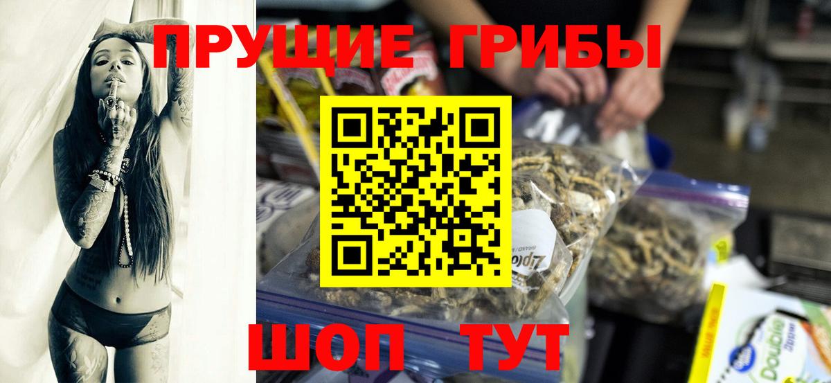 Псилоцибиновые грибы GOLDEN TEACHER Новозыбков