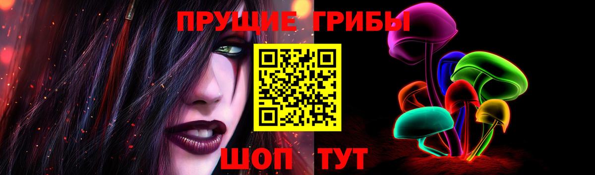 Новозыбков  Галлюциногенные грибы мухоморы  Вход с VPN 