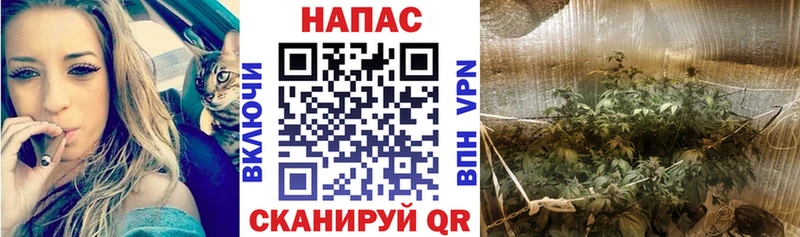 что такое Новозыбков Марихуана марихуана