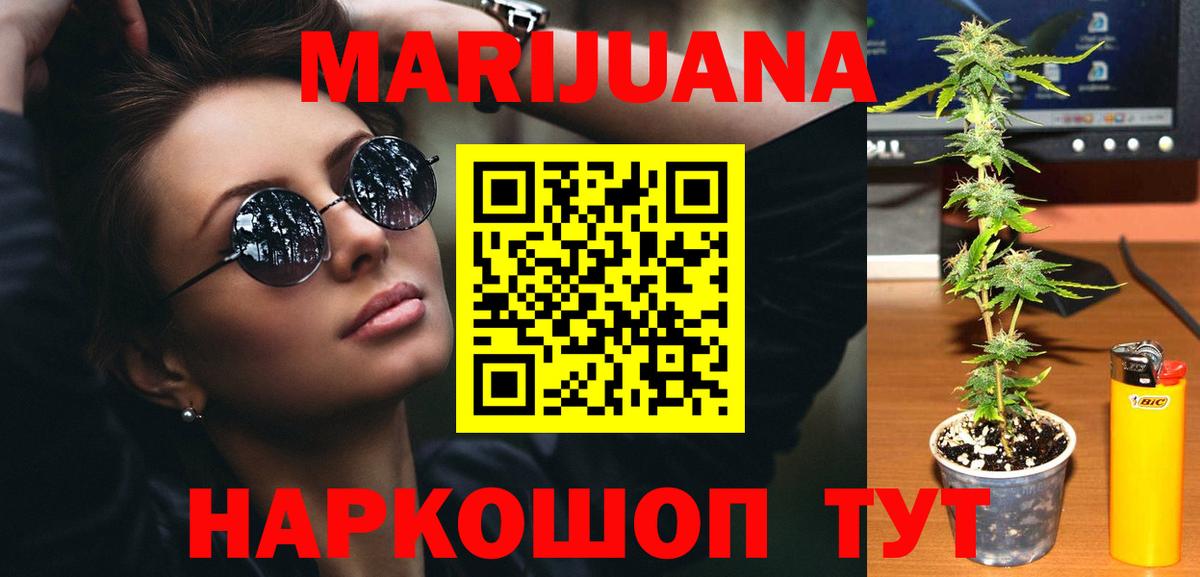 Каннабис сатива  Вход с VPN  Новозыбков  Каннабис Amnesia  Конопля SATIVA & INDICA 